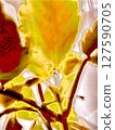 A world where mysterious plants are reflected on the water surface 127590705