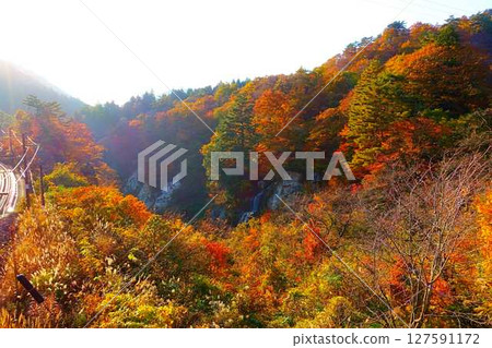 重城山 紅葉川溪谷 紅葉 黃葉 富士花瀑布 重城山 紅葉川溪谷 紅葉 黃葉 富士花瀑布 127591172