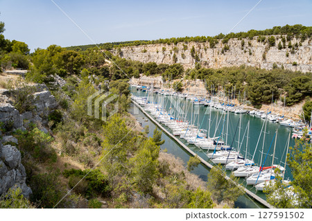 Coastal Marina with Sailboats and Greenery offers peaceful setting Coastal Marina with Sailboats and Greenery offers peaceful setting 127591502