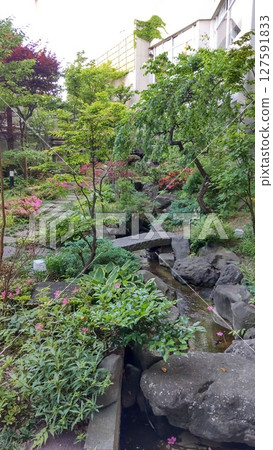 有花園的花園 127591833