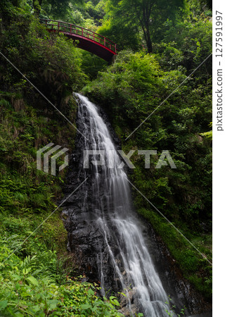 The spectacular Goho Falls in Gifu Prefecture The spectacular Goho Falls in Gifu Prefecture 127591997