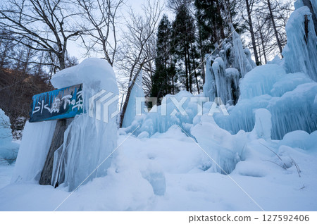 Freezing forest 127592406