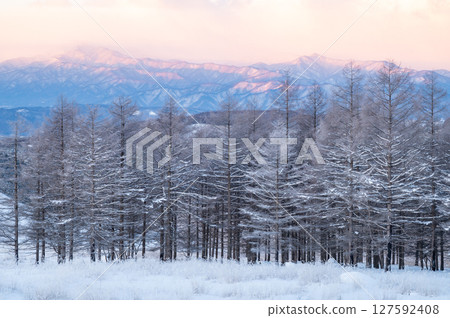 Snowy mountains and Venus Belt in the morning glow 127592408