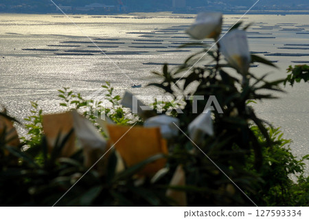 從大芝島漂流的牡蠣筏欣賞三口灣的景色 從大芝島漂流的牡蠣筏欣賞三口灣的景色 127593334