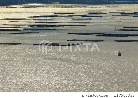 Oyster farming is thriving in the Seto Inland Sea 127593335