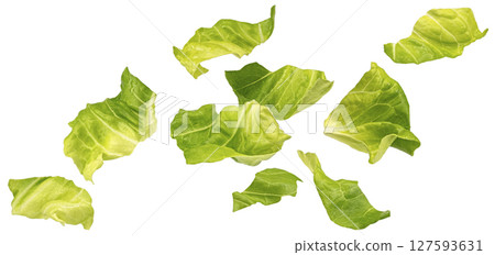 Falling chopped lettuce leaves isolated on white background with clipping path Falling chopped lettuce leaves isolated on white background with clipping path 127593631