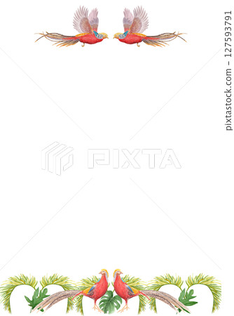 Tropical birds with palm leaves watercolor vertical frame on white background. Hand-painted perfect for stationery, fabric prints, summer projects, cards. Golden pheasant. Horizontal. Flying standing Tropical birds with palm leaves watercolor vertical frame on white background. Hand-painted perfect for stationery, fabric prints, summer projects, cards. Golden pheasant. Horizontal. Flying standing 127593791
