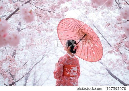 Japanese woman wear traditional dress Kimono at Cherry bossom park. Japanese woman wear traditional dress Kimono at Cherry bossom park. 127593978