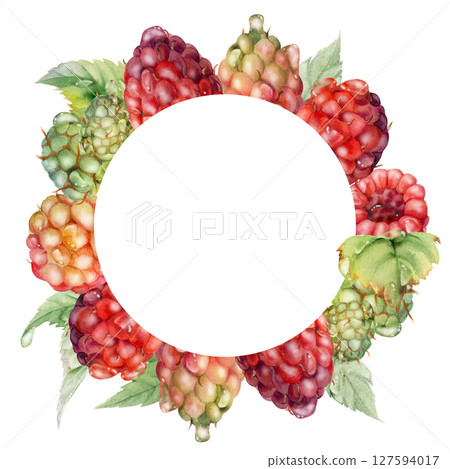 Raspberry berries leaves wreath in water splash, dew drops hand drawn in watercolor. Ripe garden dewberry cloudberry mulberry loganberry. Isolated circle frame. Fresh grocery drinks, preserves recipes 127594017