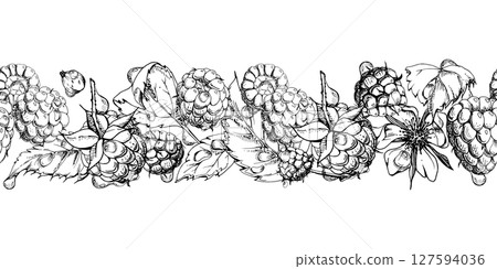 Raspberry ripe garden berries, leaves flowers in water dew drops hand drawn in vector ink. Seamless isolated banner garland. Home preserves, washi tape, food store decor, recipe book, dessert menu Raspberry ripe garden berries, leaves flowers in water dew drops hand drawn in vector ink. Seamless isolated banner garland. Home preserves, washi tape, food store decor, recipe book, dessert menu 127594036