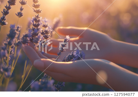 Close up hand hold Lavender flower. 127594077