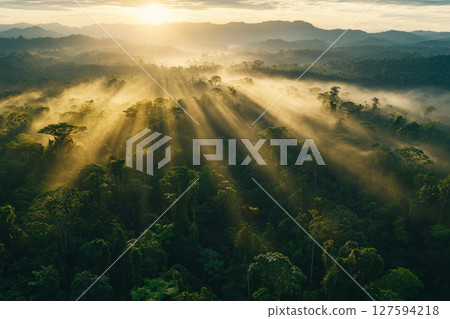 Rainforest sunrise aerial, jungle fog with sun rays, clouds breaking, drone-captured design. 127594218