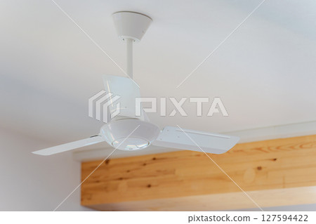 Ceiling fan 127594422