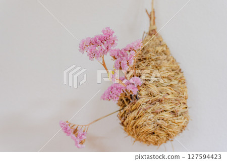 Dried flower  127594423