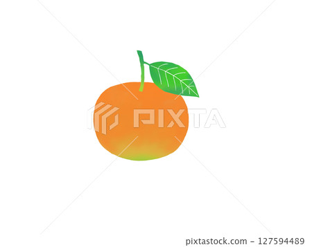 Illustration of fresh mandarin oranges Illustration of fresh mandarin oranges 127594489