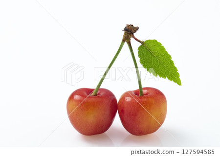 A pair of cherries with leaves on a white background 127594585