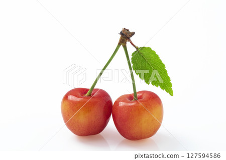 A pair of cherries with leaves on a white background 127594586
