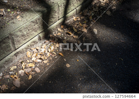 Fallen leaves, dead leaves, sidewalk, road, simple, material Fallen leaves, dead leaves, sidewalk, road, simple, material 127594664