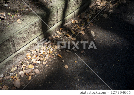 Fallen leaves, dead leaves, sidewalk, road, simple, material Fallen leaves, dead leaves, sidewalk, road, simple, material 127594665