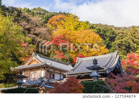 Autumn leaves at Minoh Park in Minoh City, Osaka Prefecture Autumn leaves at Minoh Park in Minoh City, Osaka Prefecture 127594674