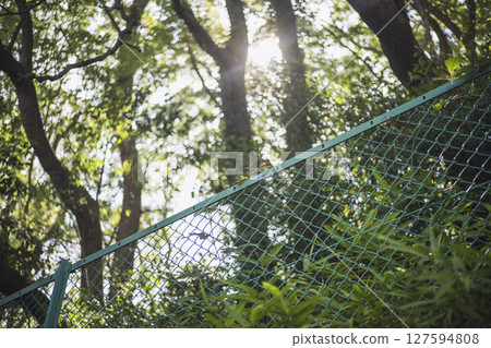 Fence Park Forest Fresh green Fence material Fence Park Forest Fresh green Fence material 127594808