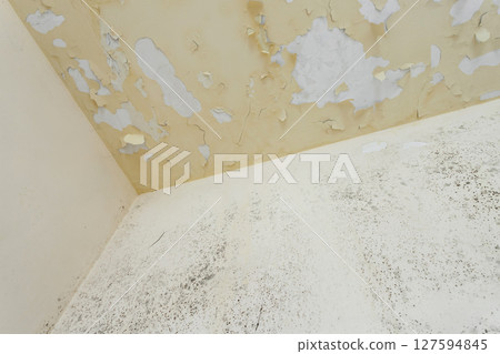 Moss and Mold spots on the ceiling on wall Moss and Mold spots on the ceiling on wall 127594845