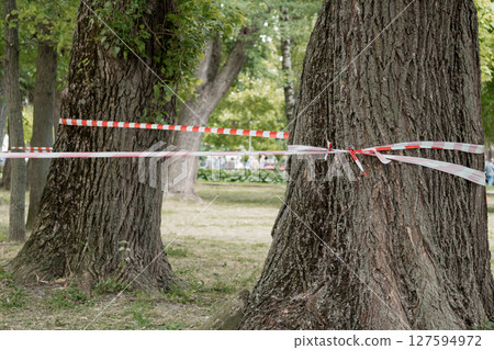 Crime Scene Investigation in Park: Red Caution Tape Around Trees, Blurred Background, Forensic Context, Daytime, Natural Setting, Outdoor Scene. 127594972