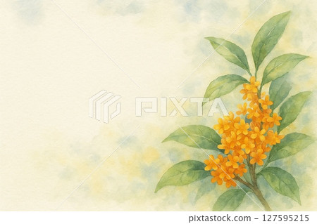桂花明信片 127595215