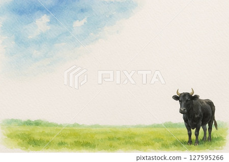 牧場/黑毛和牛 127595266