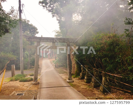 [Shimane] Shiroyama Inari Shrine: Stone and red torii gates shrouded in white smoke (Matsue) 127595799