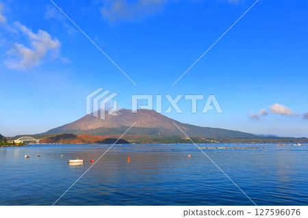 【鹿兒島縣】沐浴著朝陽的櫻島昭和火山口 【鹿兒島縣】沐浴著朝陽的櫻島昭和火山口 127596076