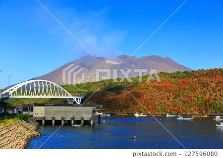 [鹿兒島縣] 陽光明媚的櫻島和牛根大橋 127596080