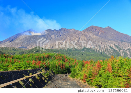 [鹿兒島縣] 陽光明媚的櫻島昭和火山口和昭和熔岩區 127596081