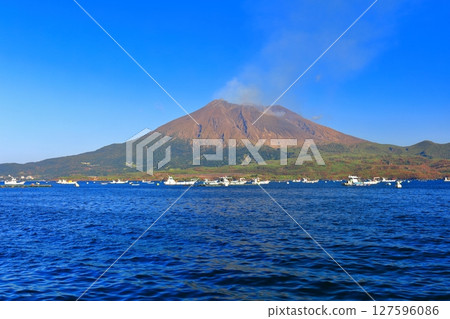 [Kagoshima Prefecture] Sakurajima on a clear day seen from Tarumi 127596086