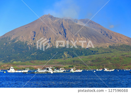 [鹿兒島縣] 晴天從垂海看到的櫻島 127596088