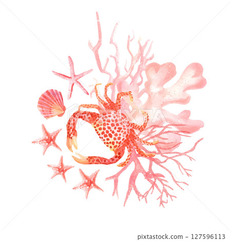 Hand drawn watercolor composition with red crab, starfish, corals and shell. Composition for marine design 127596113