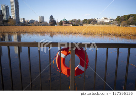 上野的風景 127596136