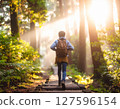 The road of the forest that shines 127596154