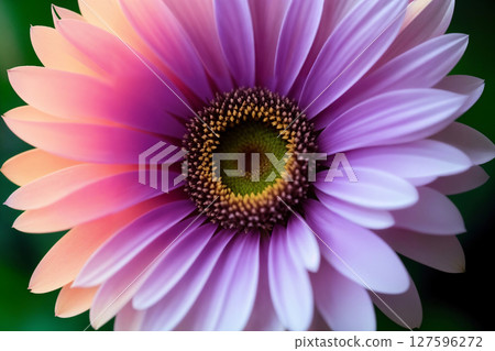 Flowers close-up, bright landscape on a flower field. Generative AI. 127596272