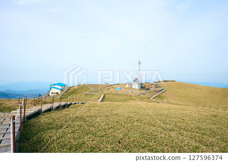 幹山 幹山 127596374