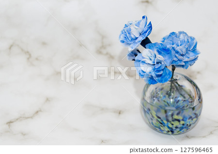 右邊是一個冷色調的花瓶，裡面插著一朵花蕾和三朵康乃馨 127596465