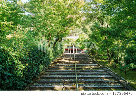 永觀堂:阿彌陀堂參道 永觀堂:阿彌陀堂參道 127596473