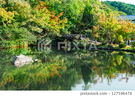 永觀堂:北條池和極樂橋 永觀堂:北條池和極樂橋 127596478