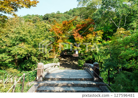 永觀堂 - 北條池極樂橋 永觀堂 - 北條池極樂橋 127596481