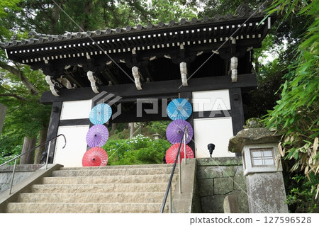 Amabiki Kannon Hydrangea Festival 127596528