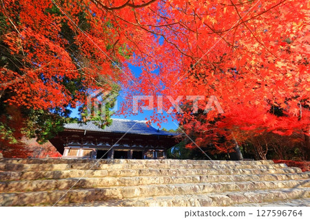 [京都府] 高尾山神護寺（近藤）參道上的紅葉 127596764