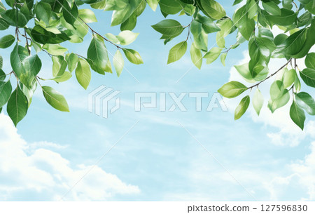 Blue sky and white clouds with green leaves in foreground, suitable for background Blue sky and white clouds with green leaves in foreground, suitable for background 127596830