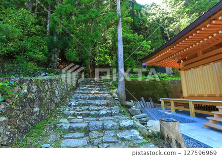 [Wakayama Prefecture] Kumano Kodo trail at Seiganto-ji Temple on Mount Nachi 127596969
