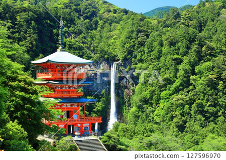 [Wakayama Prefecture] Seiganto-ji Temple's three-story pagoda and Nachi Falls on a clear day (Kumano Nachi Taisha Shrine) 127596970