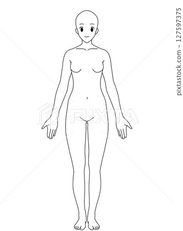 Anatomical straight female front line drawing 127597375